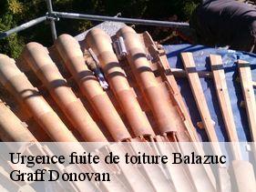 Urgence fuite de toiture  balazuc-07120 Graff Donovan