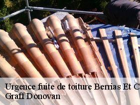Urgence fuite de toiture  berrias-et-casteljau-07460 Graff Donovan