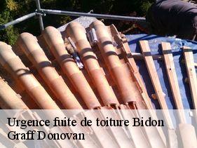 Urgence fuite de toiture  bidon-07700 Graff Donovan