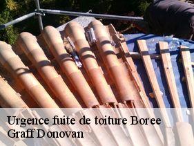 urgence-fuite-de-toiture  boree-07310 Graff Donovan