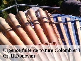 urgence-fuite-de-toiture  colombier-le-cardinal-07430 Graff Donovan