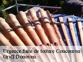 urgence-fuite-de-toiture  coucouron-07470 Graff Donovan