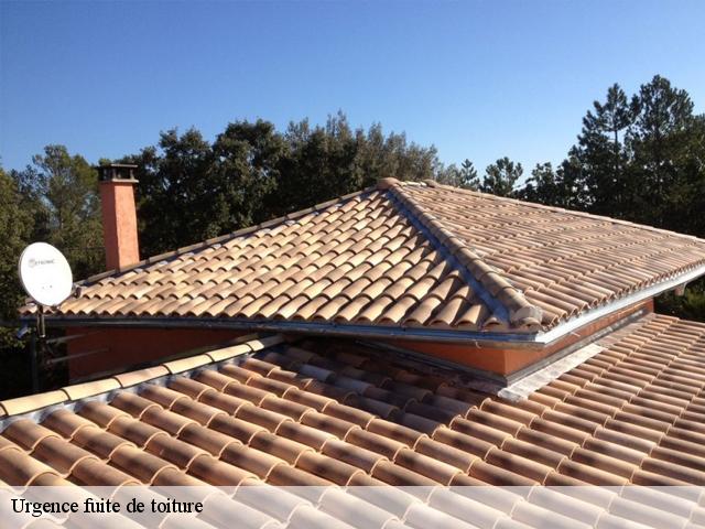 urgence-fuite-de-toiture 07660
