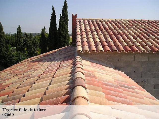 urgence-fuite-de-toiture 07660