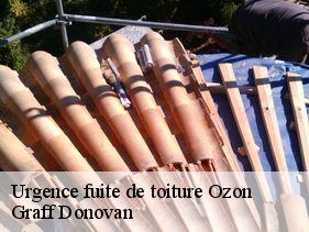 urgence-fuite-de-toiture  ozon-07370 Graff Donovan
