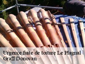 urgence-fuite-de-toiture  le-plagnal-07590 Graff Donovan